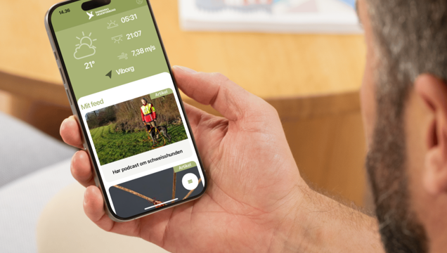 App udvikling Århus